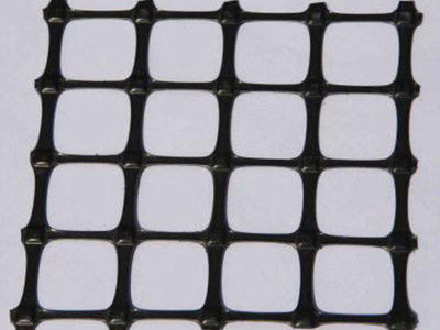 双向塑料土工格栅图片2